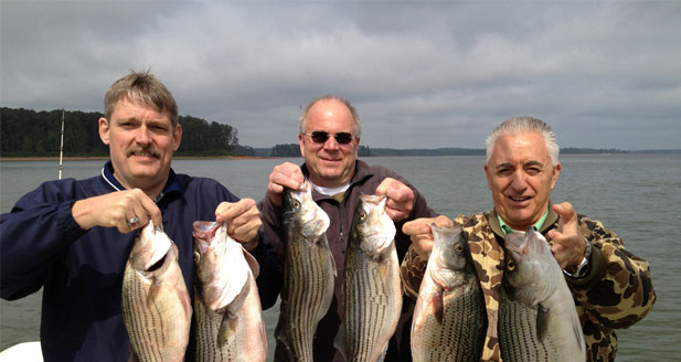 Lake Thurmond Fishing